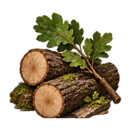 Illustrated timber grove